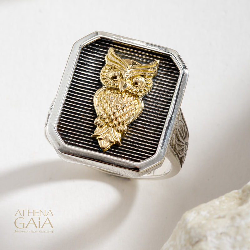 Owl Talisman Narrow Band Ring - 18k Gold & Sterling Silver - Signet Ring