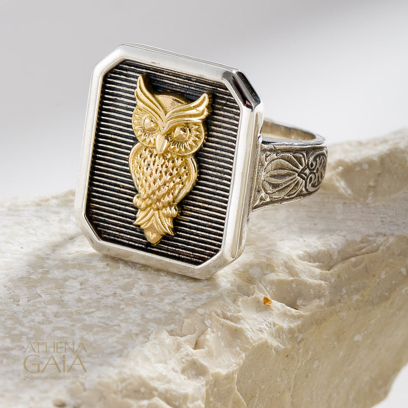 Owl Talisman Narrow Band Ring - 18k Gold & Sterling Silver - Signet Ring