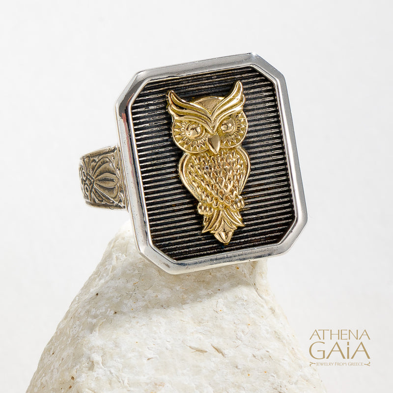 Owl Talisman Narrow Band Ring - 18k Gold & Sterling Silver - Signet Ring