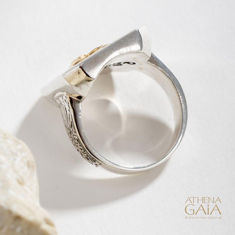 Twin Swallows Talisman Narrow Band Ring - 18k Gold & Sterling Silver - Signet Ring