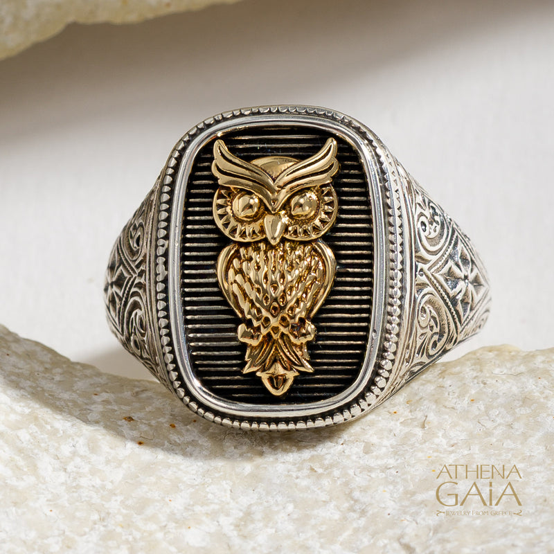 Owl Talisman Wide Band Ring - 18k Gold & Sterling Silver - Signet Ring
