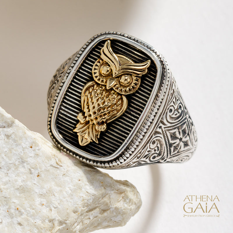 Owl Talisman Wide Band Ring - 18k Gold & Sterling Silver - Signet Ring