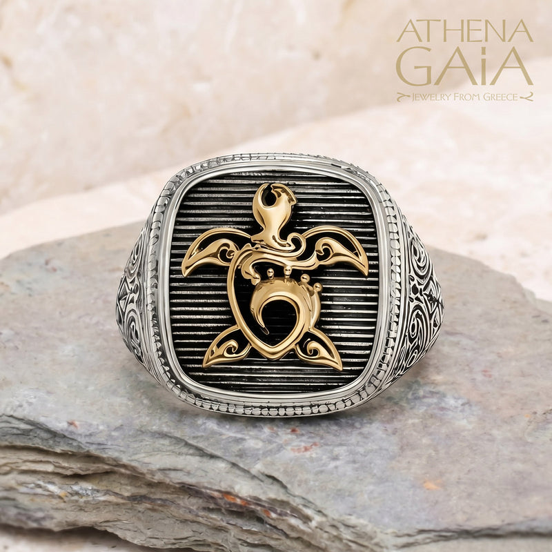 Turtle Talisman Ring - 18k Gold & Sterling Silver - Signet Ring