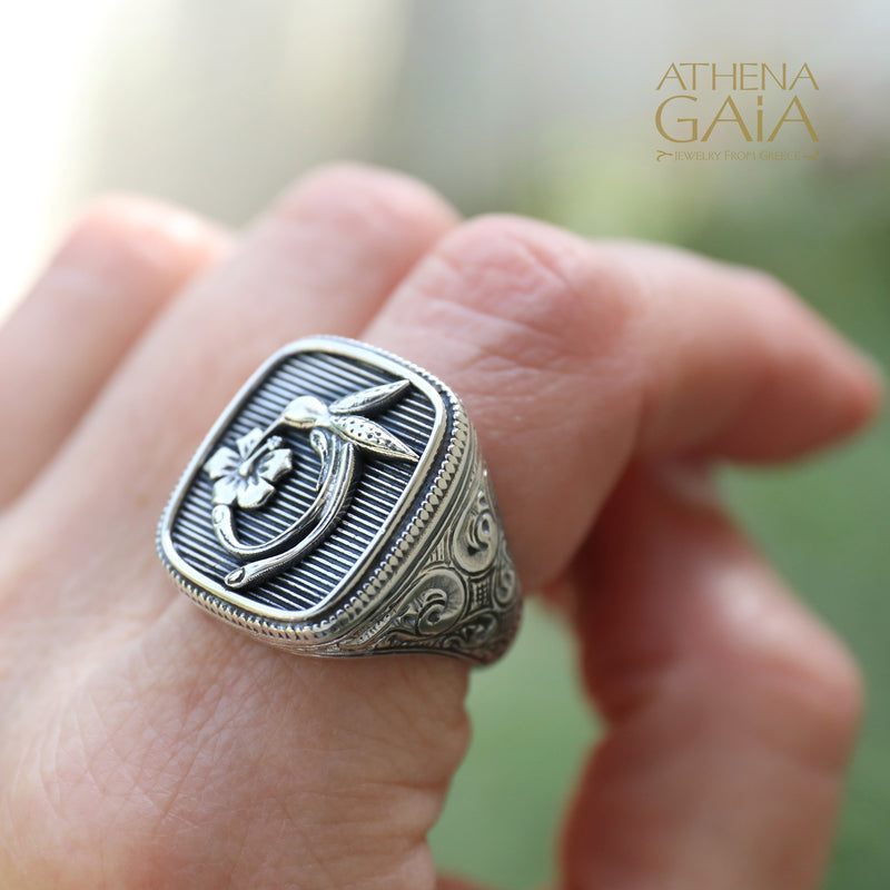 Hummingbird Talisman Ring- Sterling Silver Ring - Signet Ring
