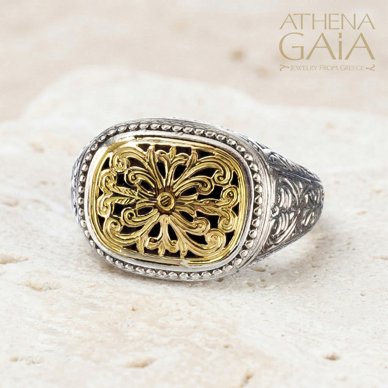 Garden Shadows Ring - 18k Gold & Sterling Silver Ring - Club Ring