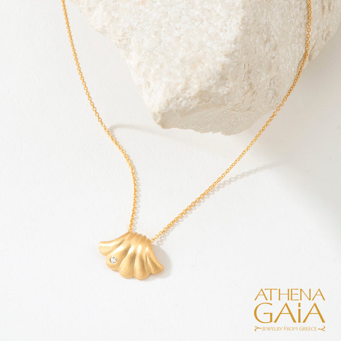 Herbs Sea Shell Necklace