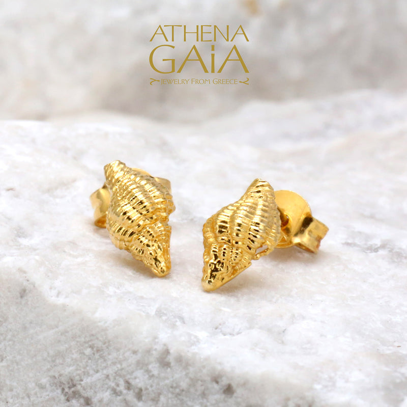 Conch Shell Post Earrings - 14k Gold Stud Earrings