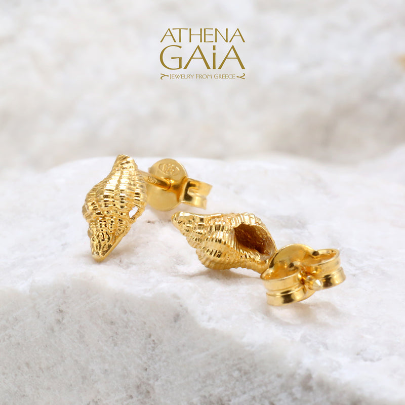 Conch Shell Post Earrings - 14k Gold Stud Earrings