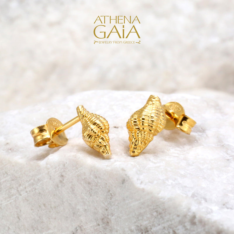 Conch Shell Post Earrings - 14k Gold Stud Earrings